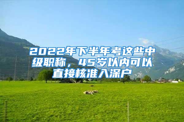 2022年下半年考這些中級職稱，45歲以內可以直接核準入深戶