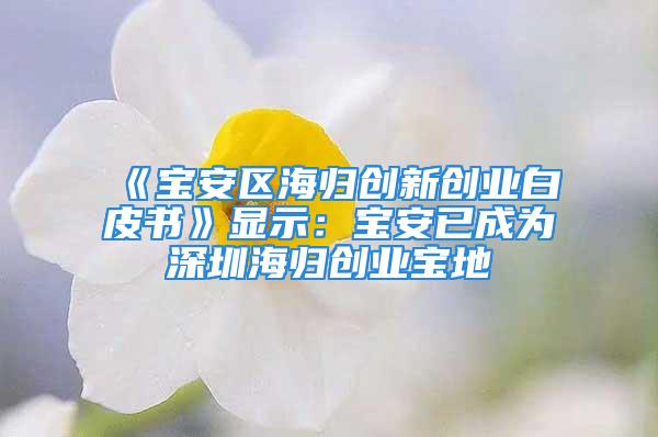 《寶安區(qū)海歸創(chuàng)新創(chuàng)業(yè)白皮書(shū)》顯示：寶安已成為深圳海歸創(chuàng)業(yè)寶地