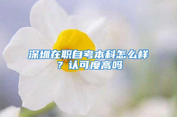 深圳在職自考本科怎么樣？認可度高嗎