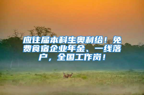 應(yīng)往屆本科生奧利給！免費(fèi)食宿企業(yè)年金、一線落戶，全國(guó)工作崗！