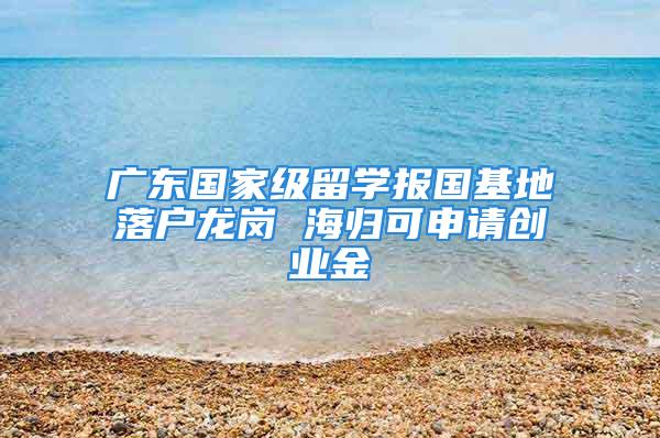 廣東國家級留學報國基地落戶龍崗 海歸可申請創(chuàng)業(yè)金