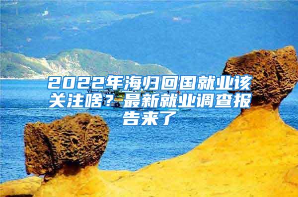 2022年海歸回國(guó)就業(yè)該關(guān)注啥？最新就業(yè)調(diào)查報(bào)告來(lái)了