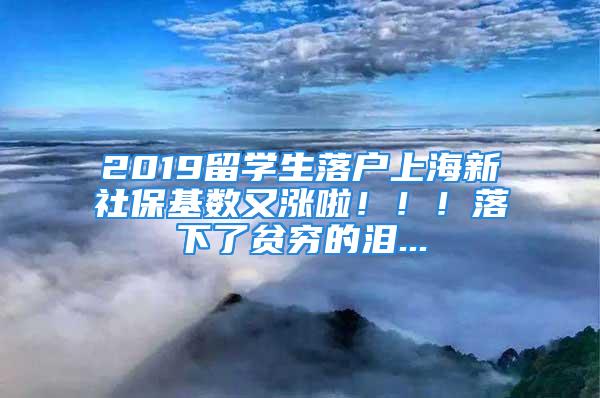 2019留學生落戶上海新社?；鶖?shù)又漲啦！??！落下了貧窮的淚...