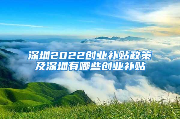 深圳2022創(chuàng)業(yè)補貼政策及深圳有哪些創(chuàng)業(yè)補貼