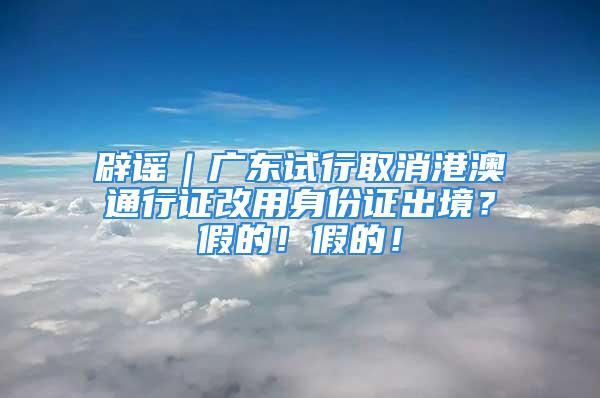 辟謠｜廣東試行取消港澳通行證改用身份證出境？假的！假的！