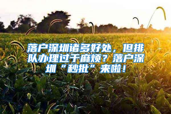 落戶深圳諸多好處，但排隊(duì)辦理過于麻煩？落戶深圳“秒批”來啦！