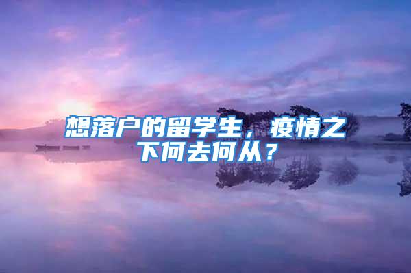 想落戶的留學(xué)生，疫情之下何去何從？