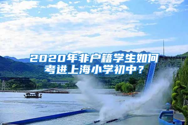 2020年非戶籍學(xué)生如何考進(jìn)上海小學(xué)初中？