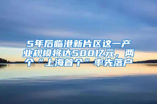 5年后臨港新片區(qū)這一產(chǎn)業(yè)規(guī)模將達(dá)500億元，兩個“上海首個”率先落戶