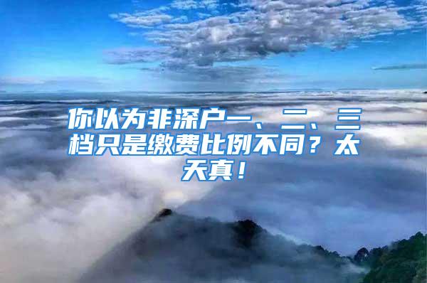 你以為非深戶一、二、三檔只是繳費比例不同？太天真！