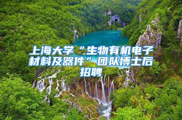 上海大學“生物有機電子材料及器件”團隊博士后招聘