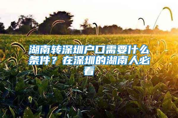 湖南轉(zhuǎn)深圳戶口需要什么條件？在深圳的湖南人必看