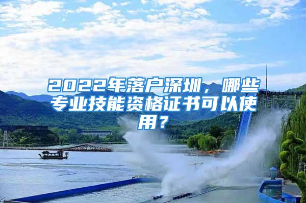 2022年落戶深圳，哪些專業(yè)技能資格證書可以使用？