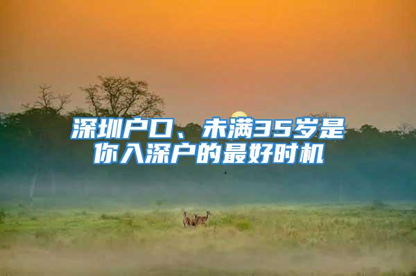 深圳戶口、未滿35歲是你入深戶的最好時機