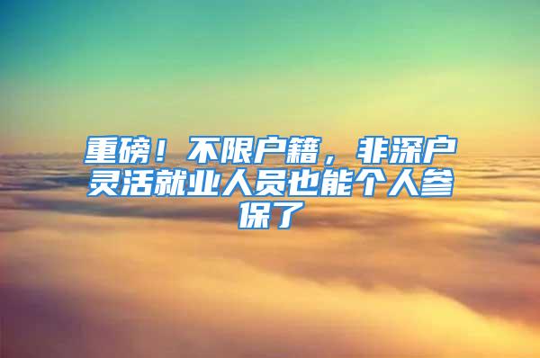 重磅！不限戶籍，非深戶靈活就業(yè)人員也能個人參保了