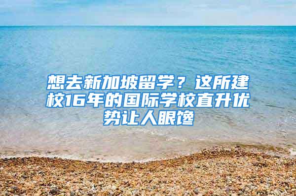 想去新加坡留學？這所建校16年的國際學校直升優(yōu)勢讓人眼饞