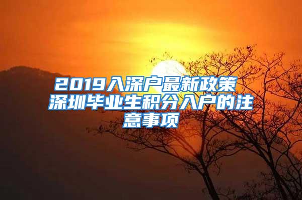 2019入深戶最新政策 深圳畢業(yè)生積分入戶的注意事項