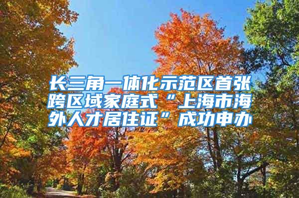 長(zhǎng)三角一體化示范區(qū)首張跨區(qū)域家庭式“上海市海外人才居住證”成功申辦