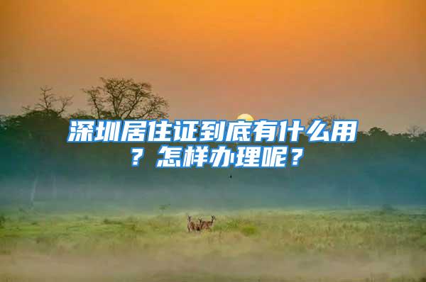 深圳居住證到底有什么用？怎樣辦理呢？