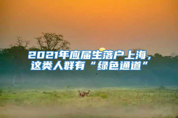 2021年應(yīng)屆生落戶上海，這類人群有“綠色通道”