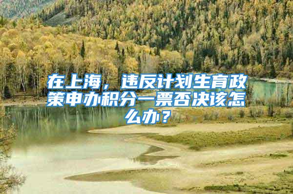 在上海，違反計(jì)劃生育政策申辦積分一票否決該怎么辦？