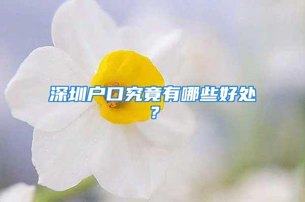 深圳戶口究竟有哪些好處？