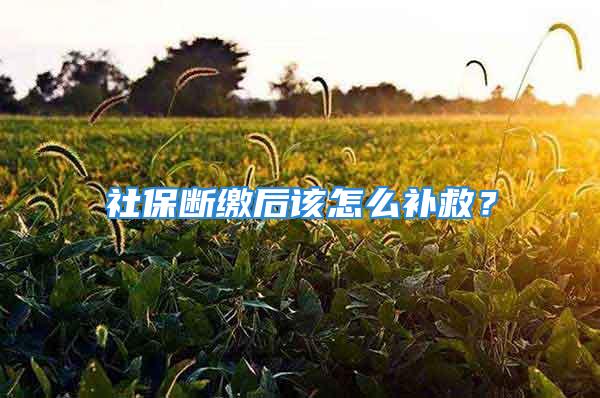 社保斷繳后該怎么補救？