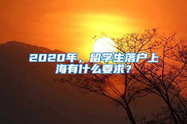 2020年，留學(xué)生落戶上海有什么要求？