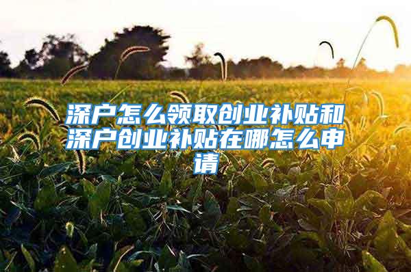 深戶怎么領(lǐng)取創(chuàng)業(yè)補貼和深戶創(chuàng)業(yè)補貼在哪怎么申請