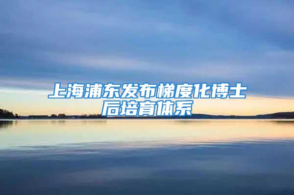 上海浦東發(fā)布梯度化博士后培育體系