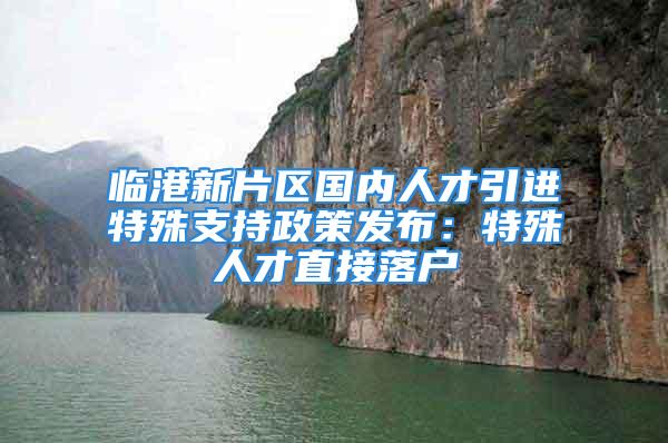 臨港新片區(qū)國內(nèi)人才引進特殊支持政策發(fā)布：特殊人才直接落戶