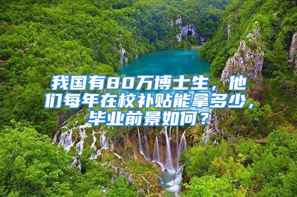 我國有80萬博士生，他們每年在校補貼能拿多少，畢業(yè)前景如何？