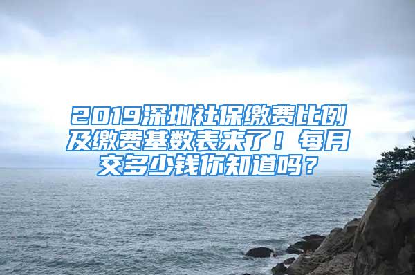 2019深圳社保繳費比例及繳費基數(shù)表來了！每月交多少錢你知道嗎？