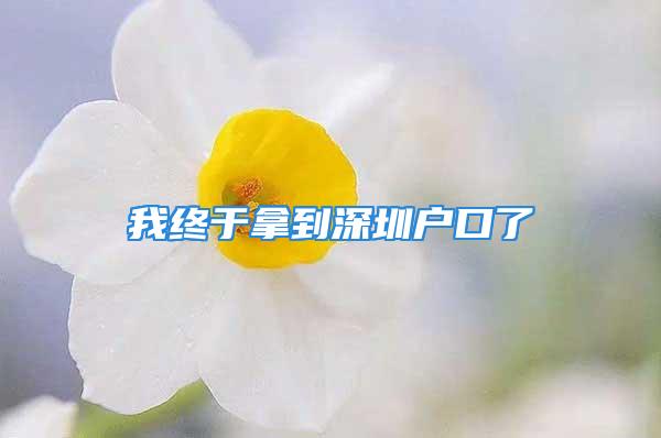 我終于拿到深圳戶口了