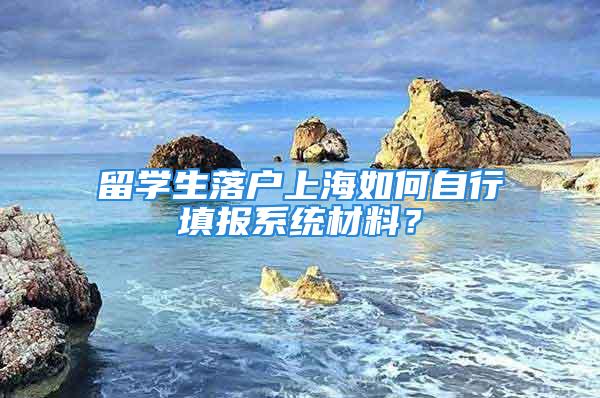 留學(xué)生落戶上海如何自行填報(bào)系統(tǒng)材料？