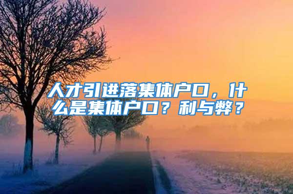 人才引進(jìn)落集體戶口，什么是集體戶口？利與弊？