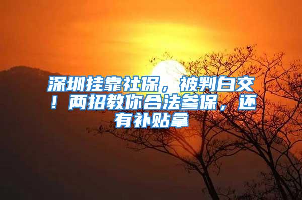 深圳掛靠社保，被判白交！兩招教你合法參保，還有補貼拿