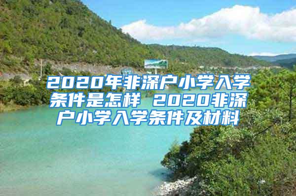 2020年非深戶小學(xué)入學(xué)條件是怎樣 2020非深戶小學(xué)入學(xué)條件及材料