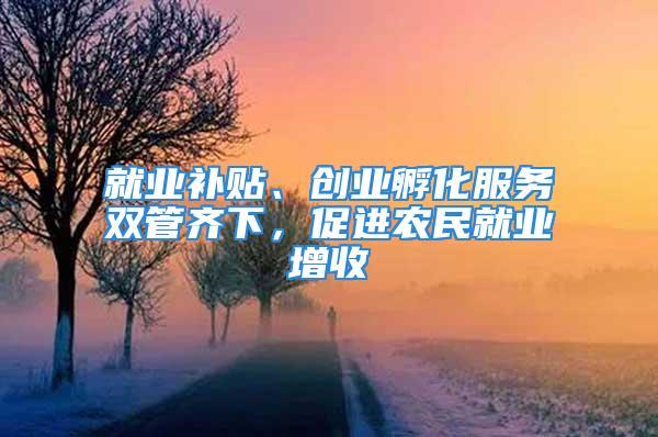 就業(yè)補(bǔ)貼、創(chuàng)業(yè)孵化服務(wù)雙管齊下，促進(jìn)農(nóng)民就業(yè)增收