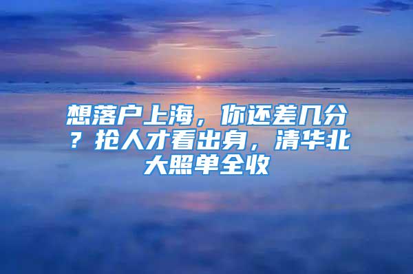 想落戶上海，你還差幾分？搶人才看出身，清華北大照單全收