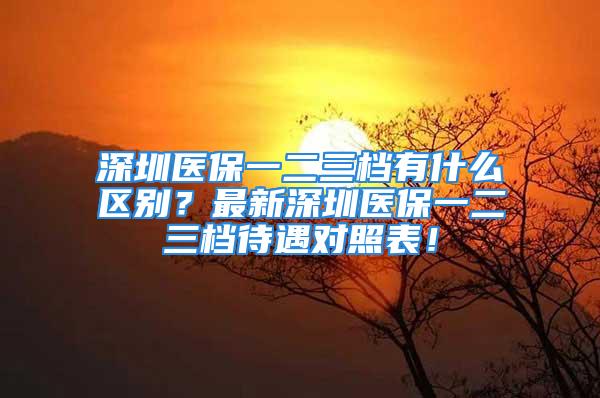 深圳醫(yī)保一二三檔有什么區(qū)別？最新深圳醫(yī)保一二三檔待遇對照表！