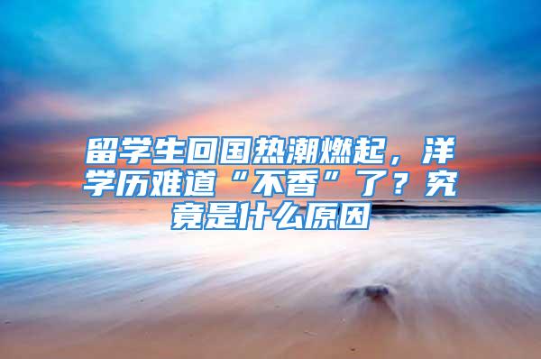 留學生回國熱潮燃起，洋學歷難道“不香”了？究竟是什么原因