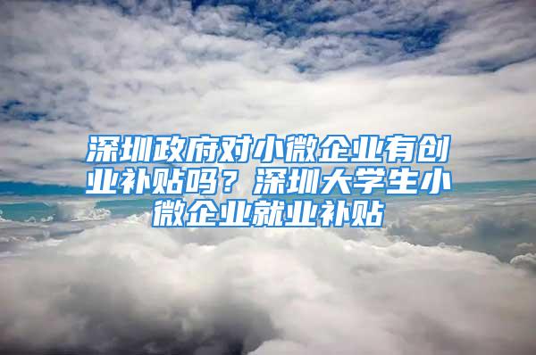 深圳政府對(duì)小微企業(yè)有創(chuàng)業(yè)補(bǔ)貼嗎？深圳大學(xué)生小微企業(yè)就業(yè)補(bǔ)貼