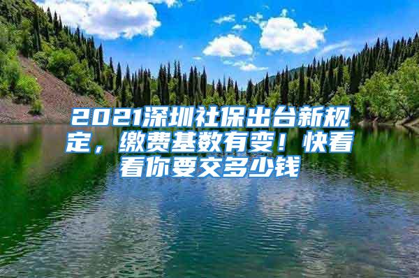 2021深圳社保出臺新規(guī)定，繳費(fèi)基數(shù)有變！快看看你要交多少錢