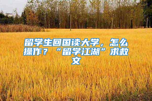 留學(xué)生回國讀大學(xué)，怎么操作？“留學(xué)江湖”求救文