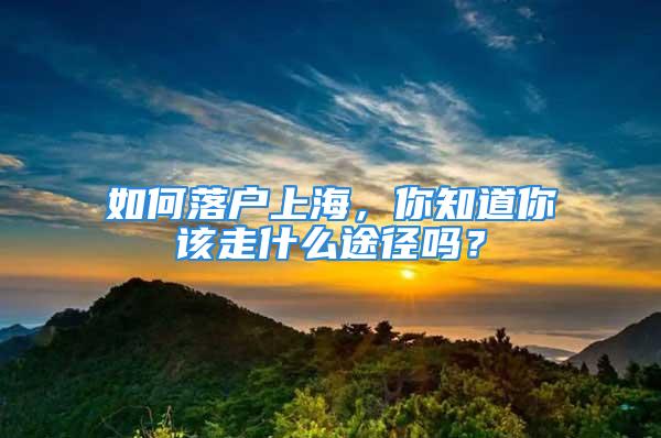 如何落戶上海，你知道你該走什么途徑嗎？