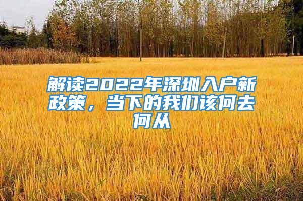 解讀2022年深圳入戶新政策，當(dāng)下的我們該何去何從