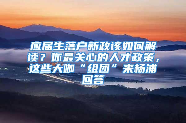 應屆生落戶新政該如何解讀？你最關心的人才政策，這些大咖“組團”來楊浦回答