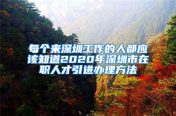 每個(gè)來(lái)深圳工作的人都應(yīng)該知道2020年深圳市在職人才引進(jìn)辦理方法