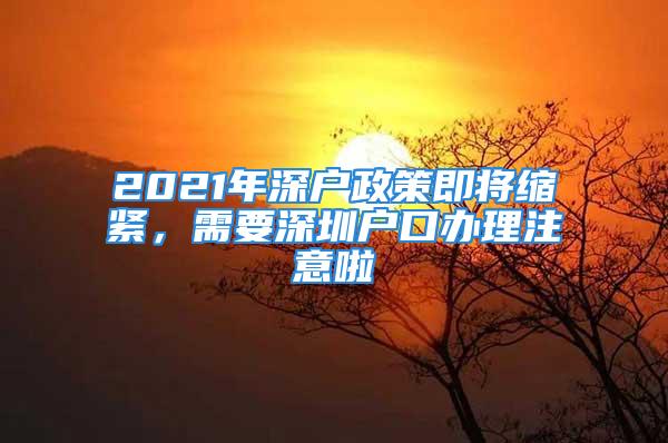 2021年深戶政策即將縮緊，需要深圳戶口辦理注意啦